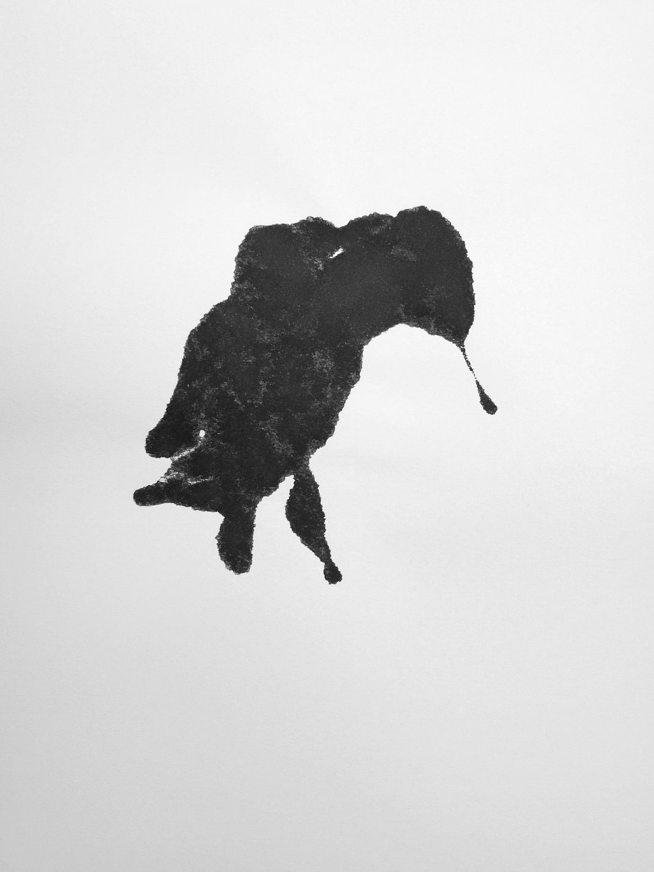 Sin título, 2009 (monotipo) de Richard Green