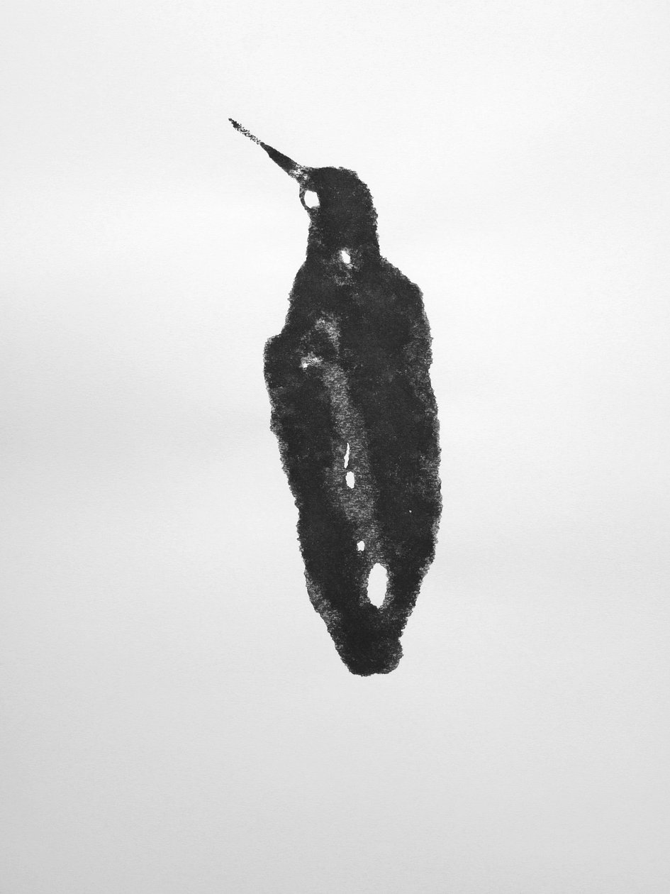 Sin título, 2009 (monotipo) de Richard Green