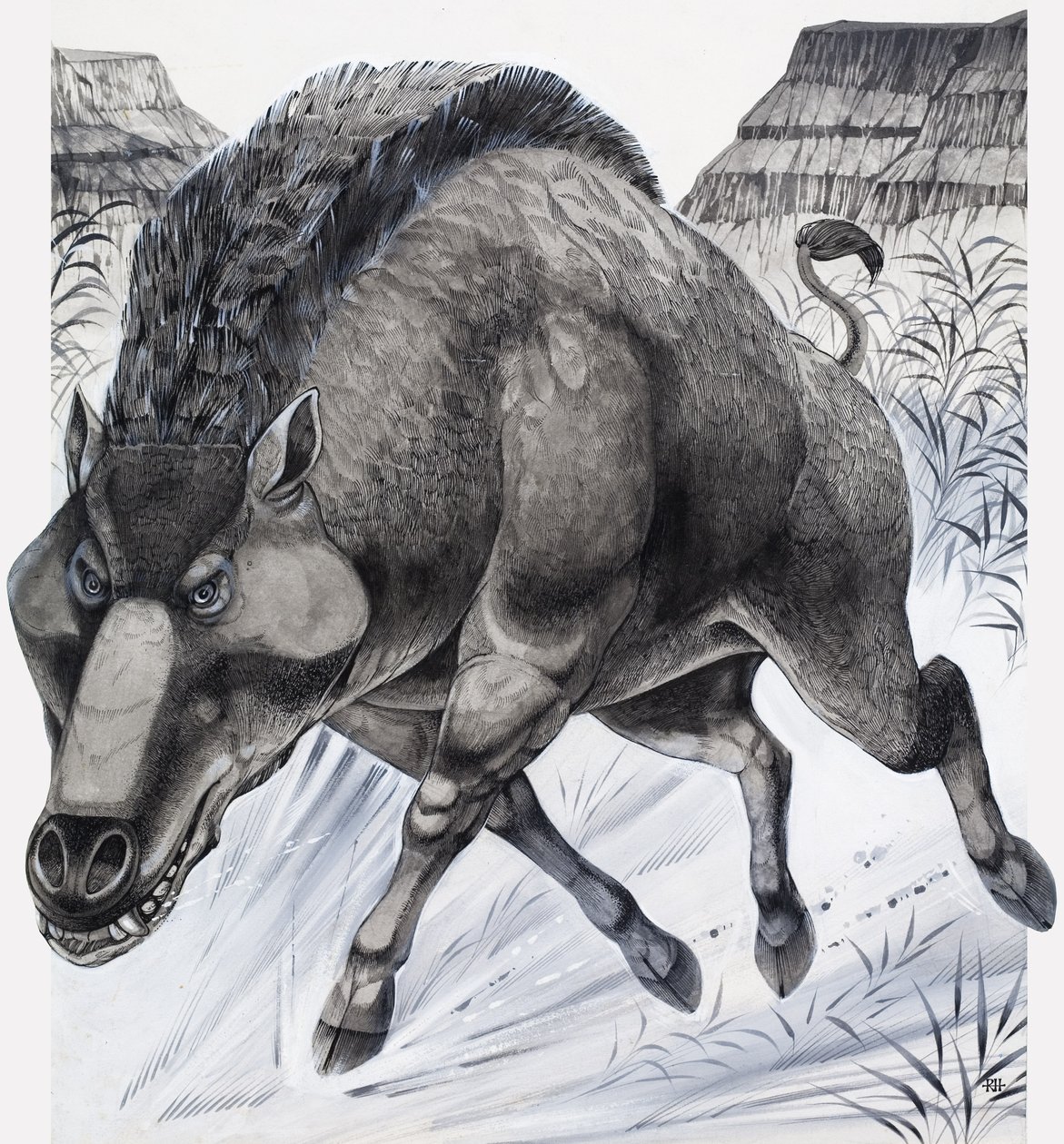 Daeodon (gouache sobre papel) de Richard Hook