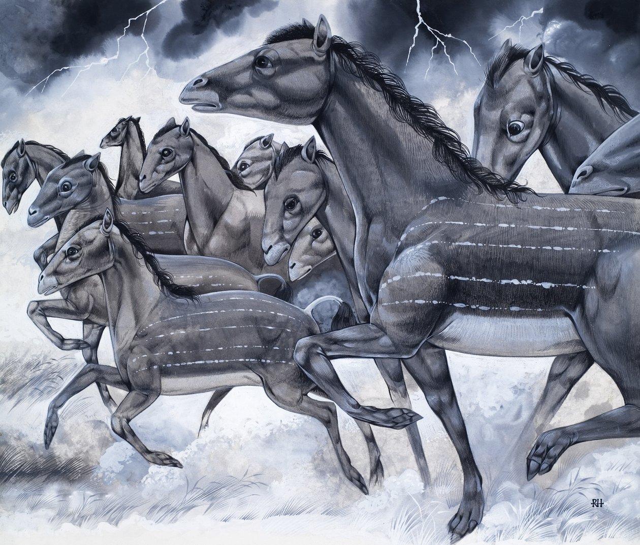 Caballos en miniatura, de "Bestias de antaño". de Richard Hook