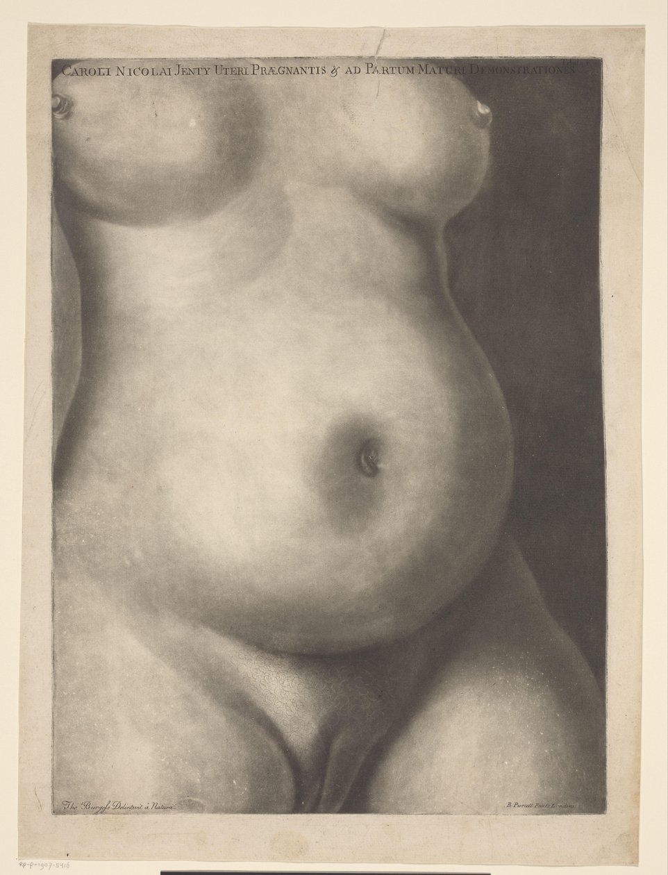 Torso de una mujer embarazada Seis impresiones anatómicas de un embarazo (título de la serie) Demostraciones de un útero preñado de una mujer en su tiempo completo (...) (título de la serie) Caroli Nicolai Jenty Uteri Praegnantis & ad Partum Maturi Demonst de Richard Purcell