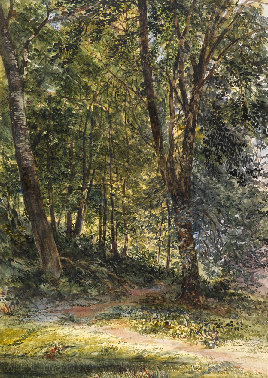 Bosques salpicados de sol, Surrey de Richard Redgrave