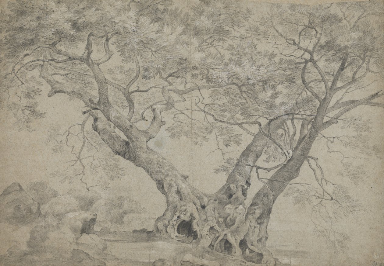 El Arbra Sacra en las orillas del lago Nemi, c.1754-56 (tiza blanca y negra sobre papel) de Richard Wilson