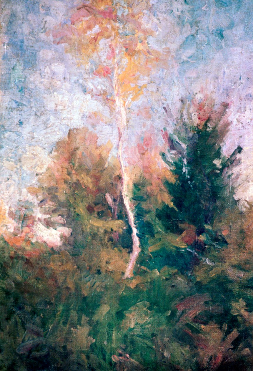 El abedul, c1889-1943 de Rihard Jakopic