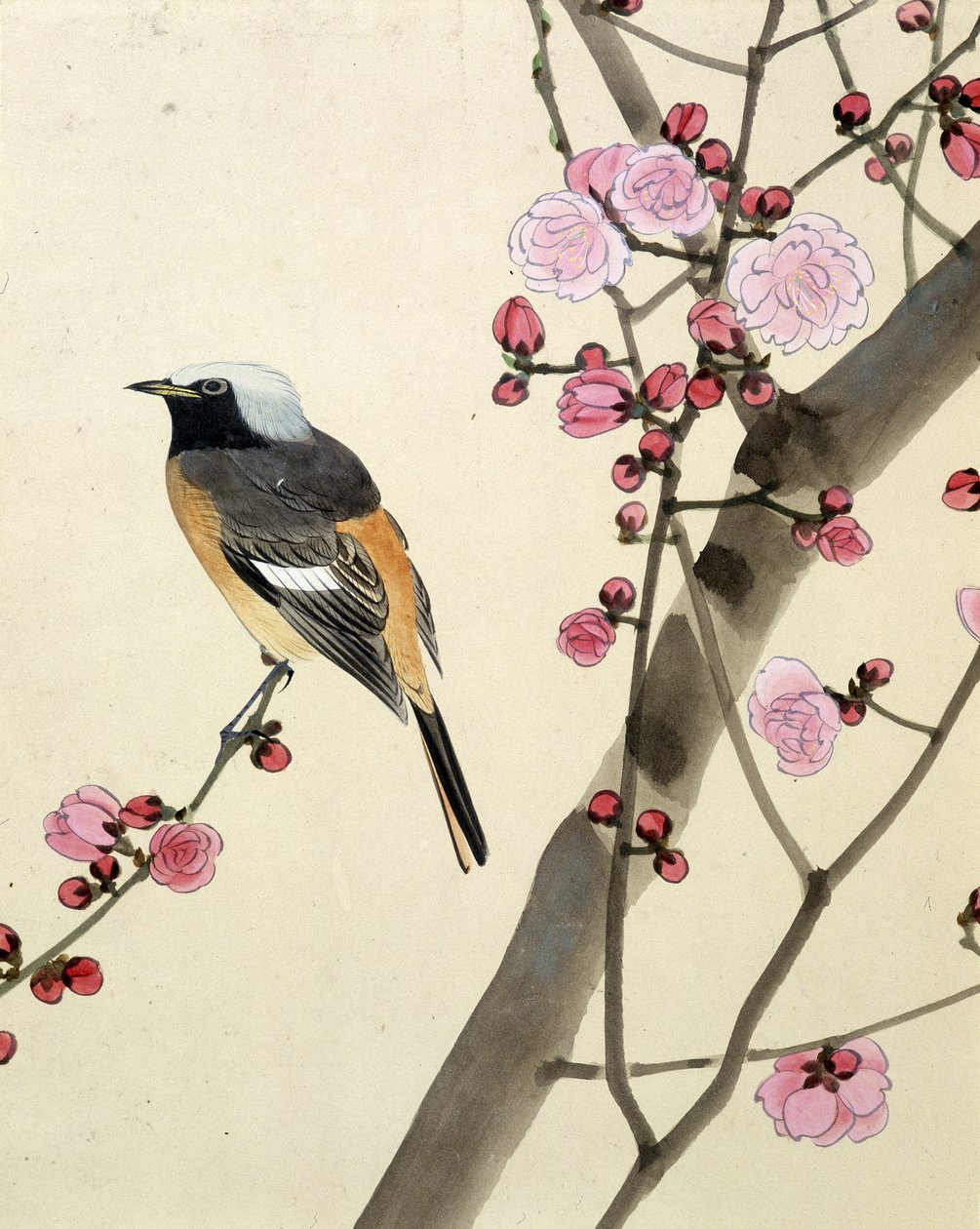 Pájaro - Dibujo japonés de Riou Chim, finales del siglo XIX de Riu Chim