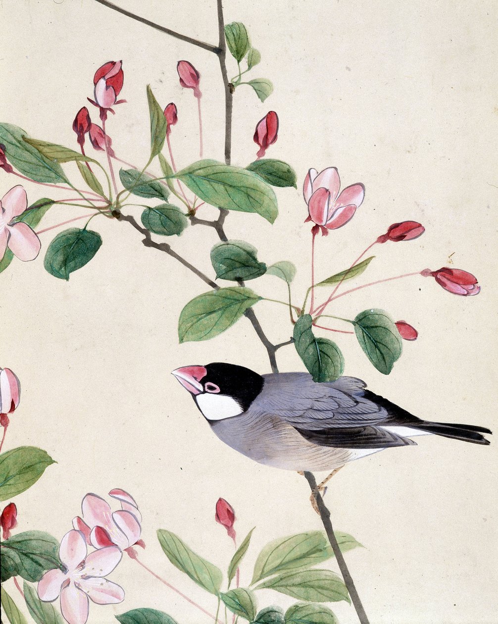 Pájaro - Dibujo japonés de Riou Chim, finales del siglo XIX de Riu Chim