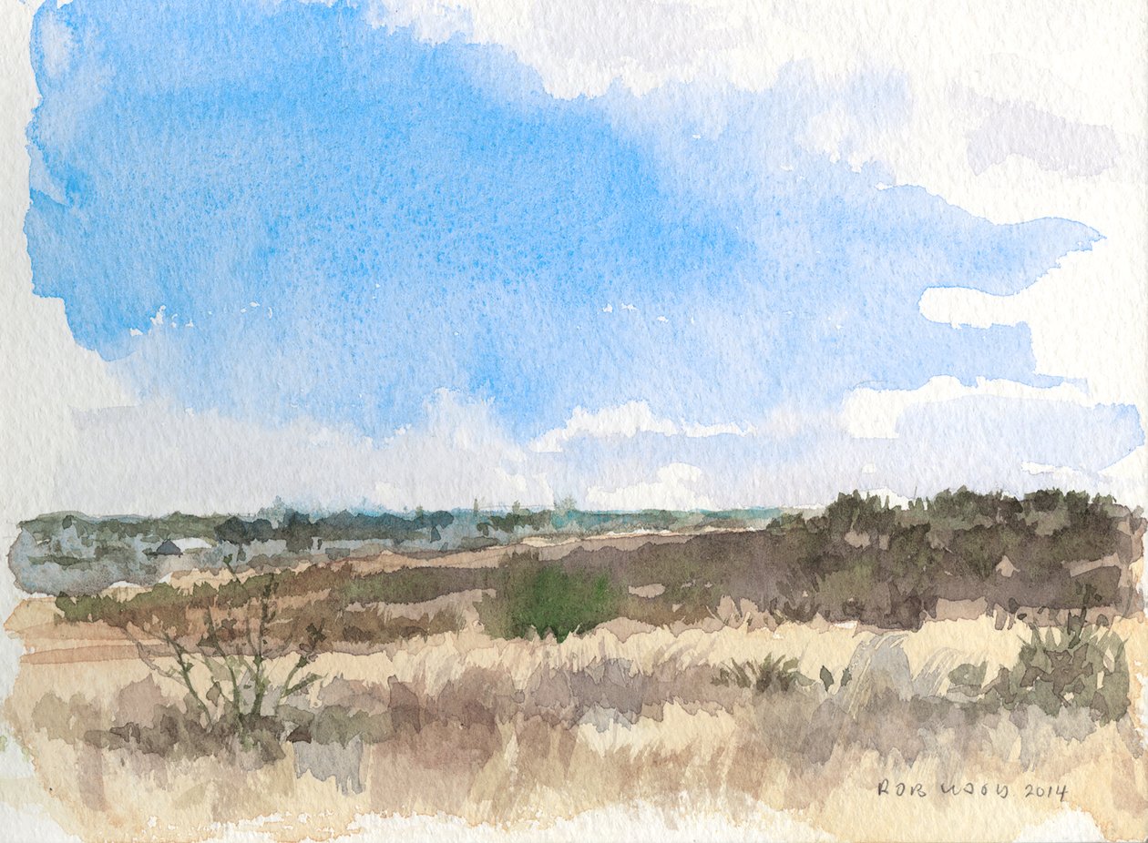 Invierno en la pradera, 2014 (acuarela sobre papel) de Rob Wood