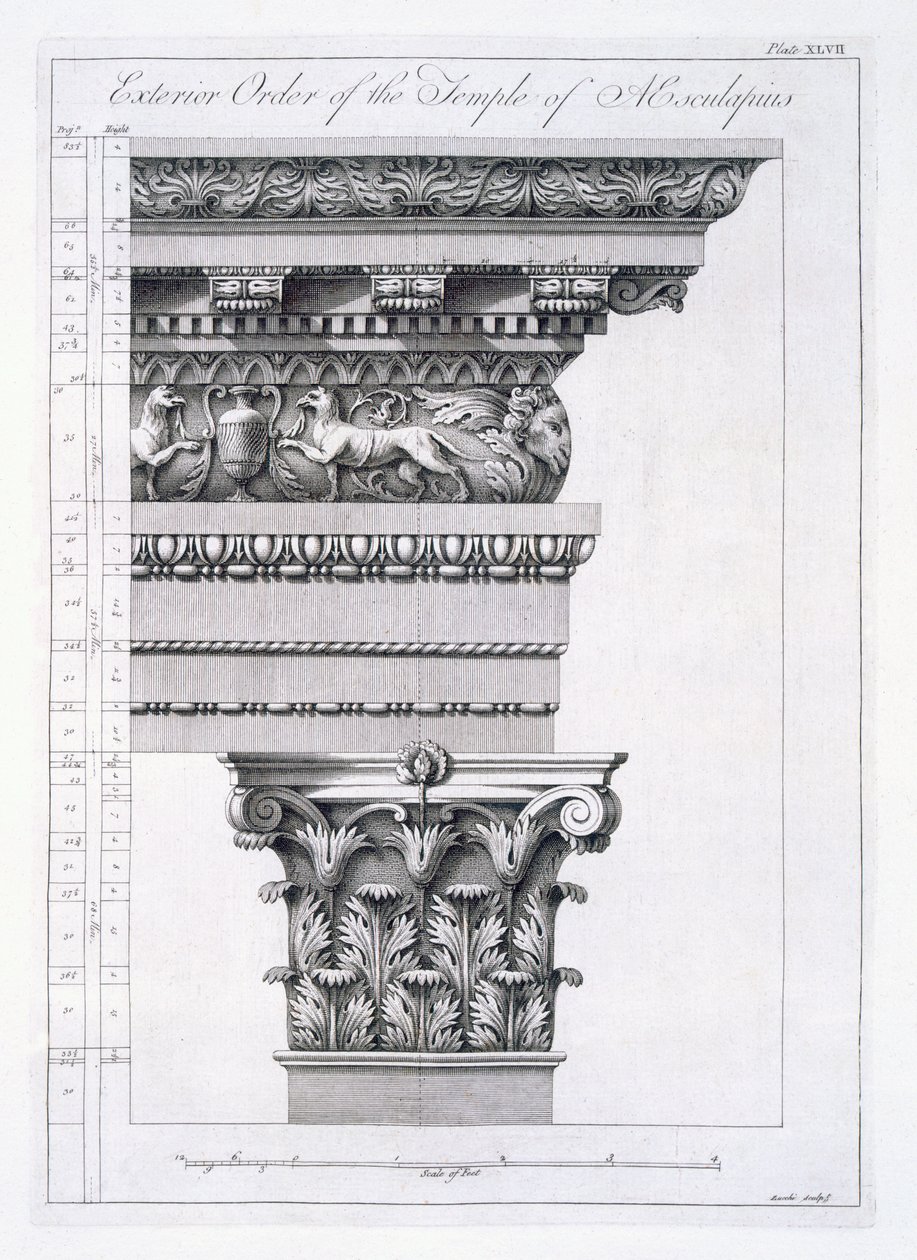 Orden exterior del Templo de Esculapio, placa XLVII de 