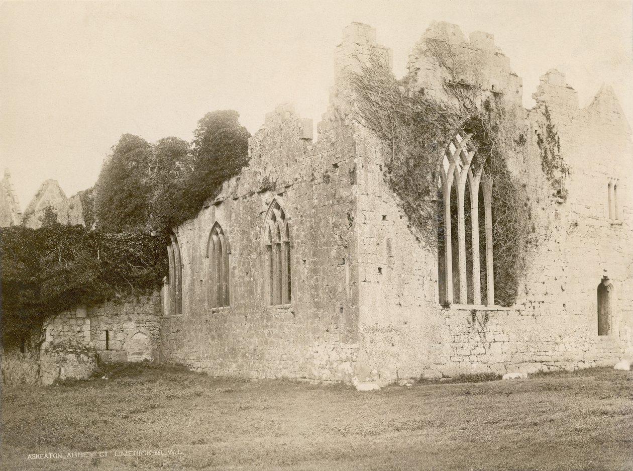 Abadía de Askeaton de Robert French