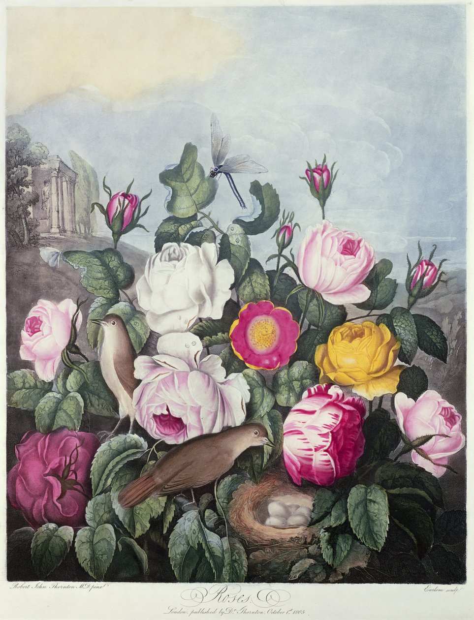 Rosas, grabado por Earlom, de 