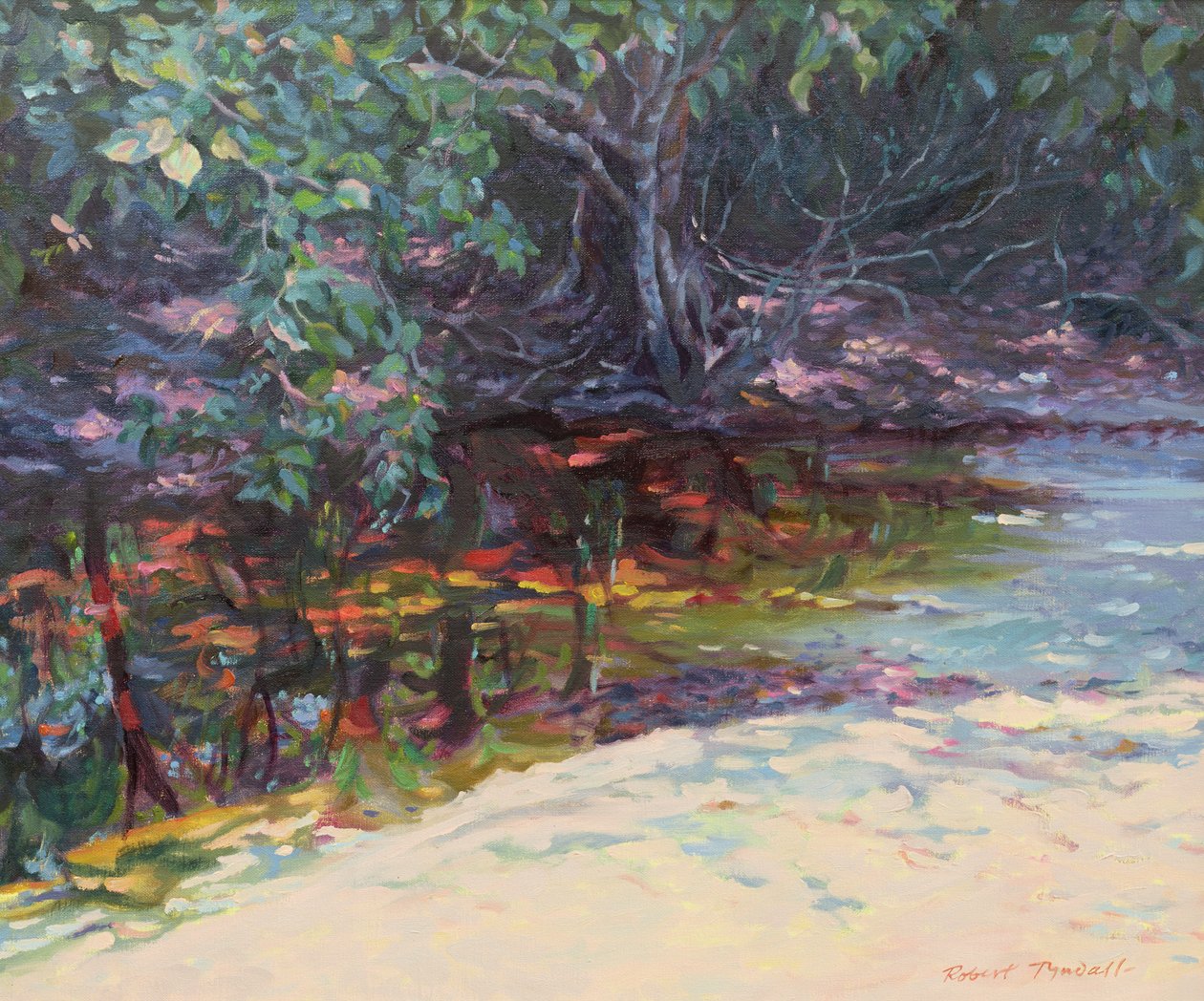 Playa y selva tropical, Cabo Tribulación, Queensland del Norte, Australia de Robert Tyndall