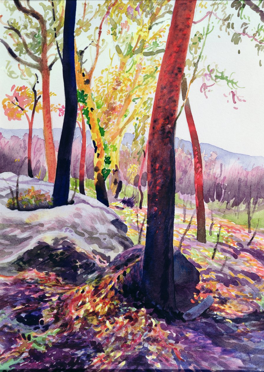 Sobrevivientes del incendio forestal, Sídney, 1994 de Robert Tyndall