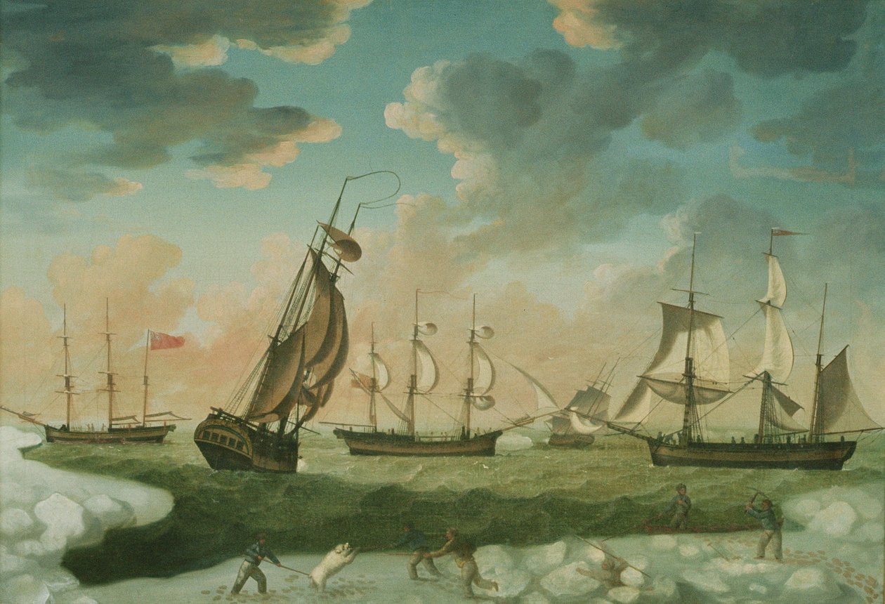 Escena ártica de Robert Willoughby