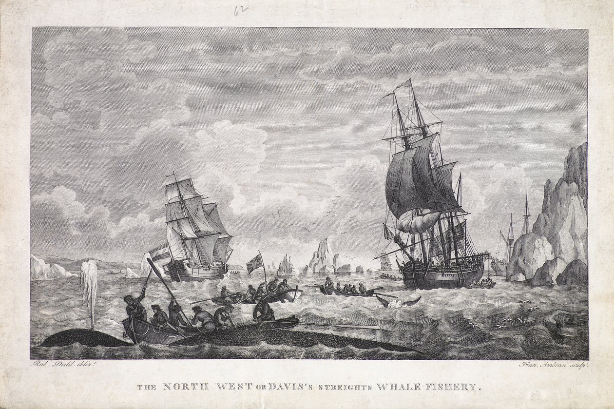 La pesquería de ballenas de North West o Davis
