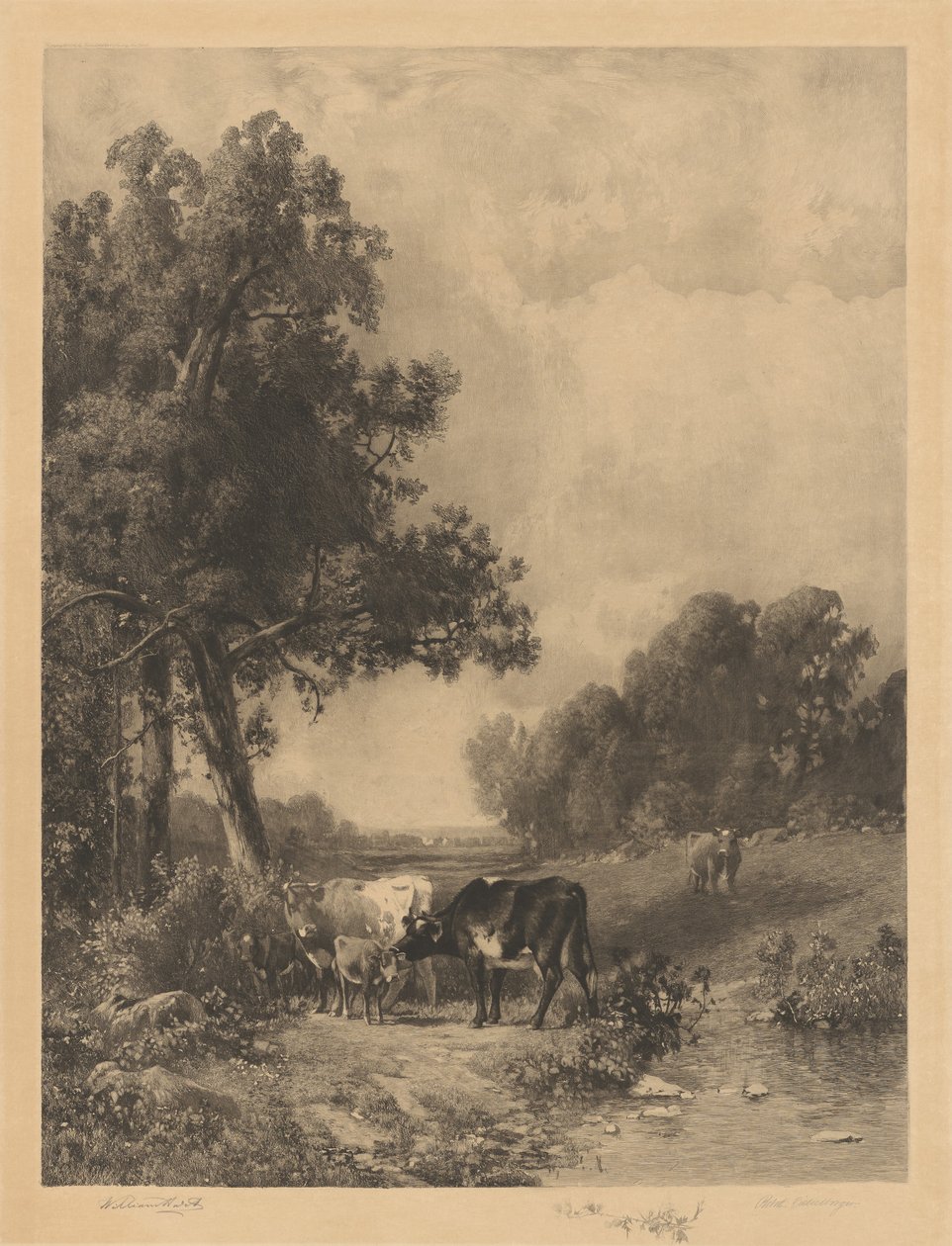 Sin título (Vacas y terneros junto a un arroyo) de Robert A. Eichelberger