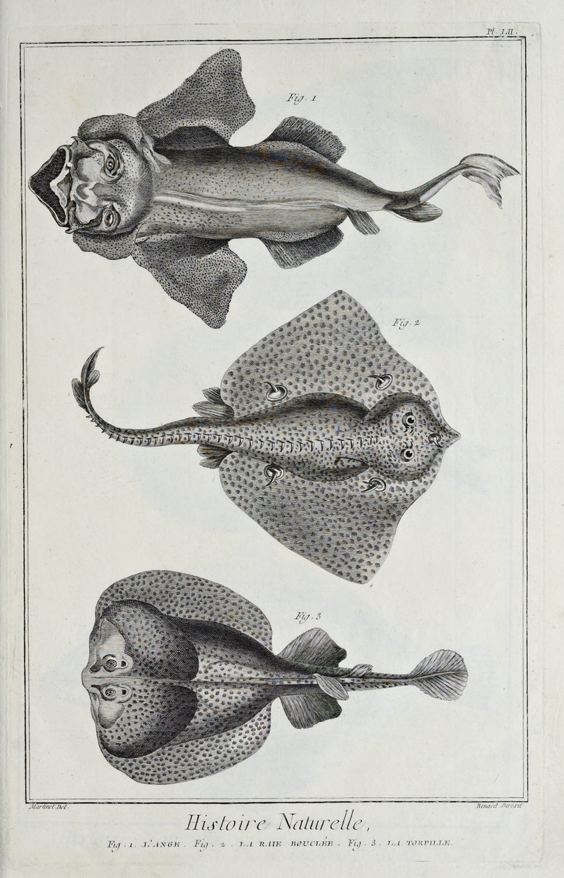 Ilustración de 