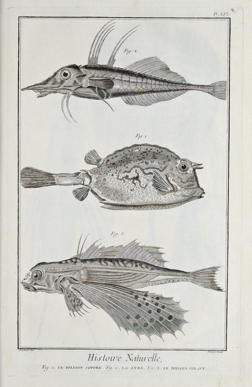 Ilustración de 