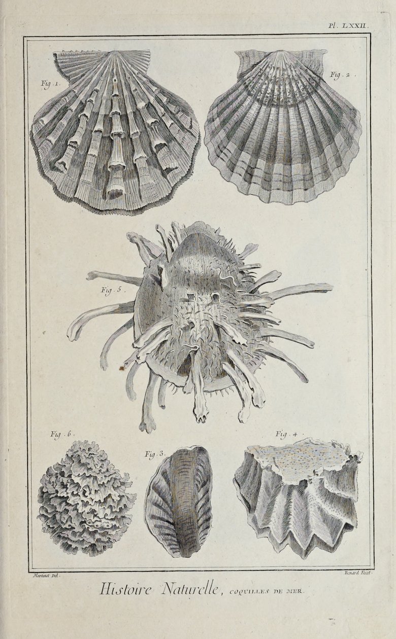 Ilustración de 