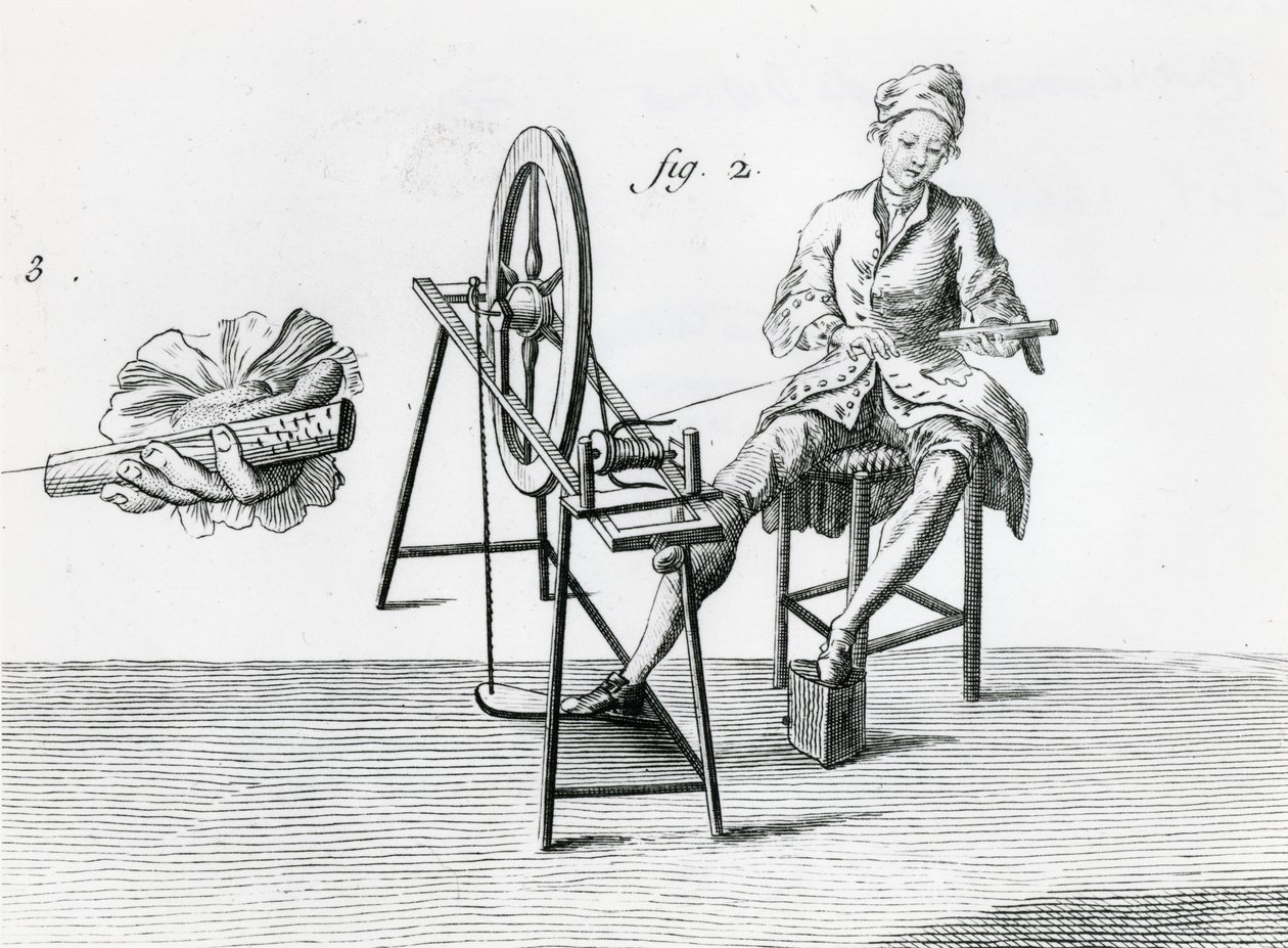 Economía rústica, algodón, de la Enciclopedia de Denis Diderot 1713-84 (detalle) de Robert Benard