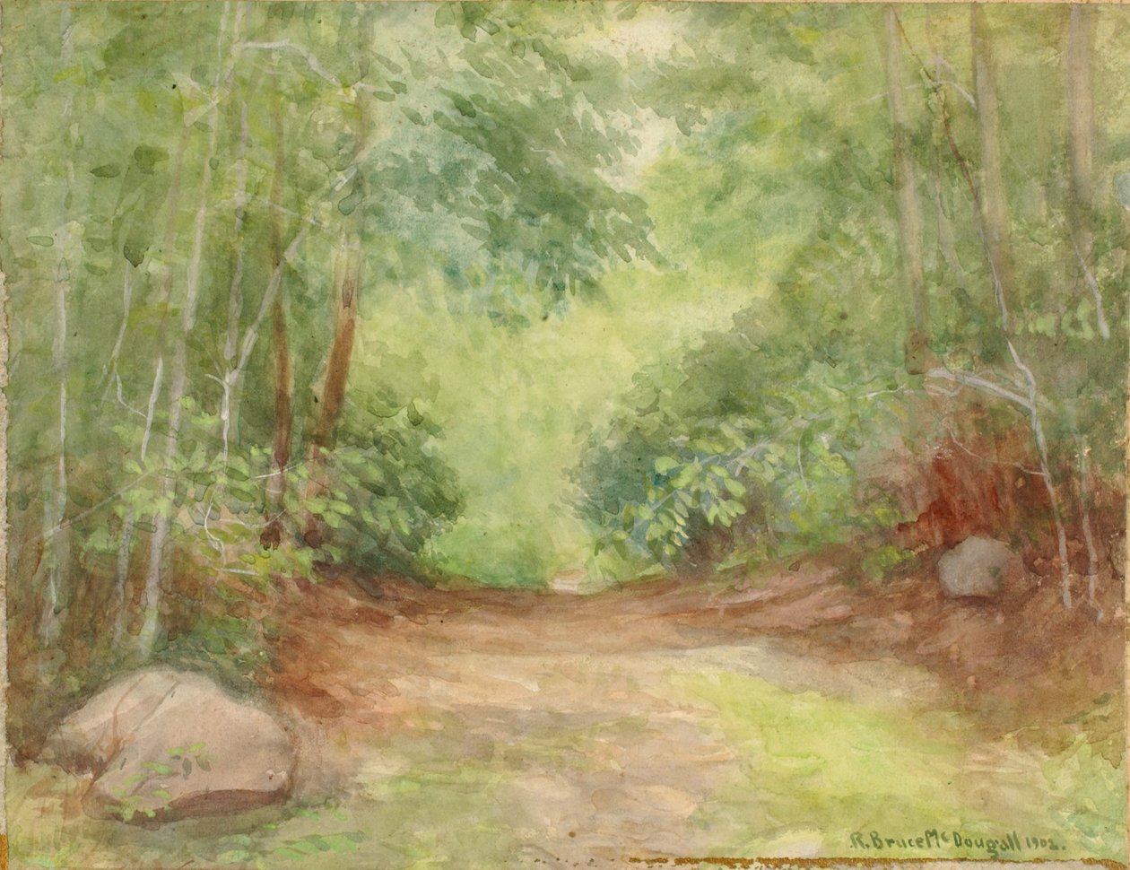 Escena de bosque sin título, 1902 de Robert Bruce McDougall