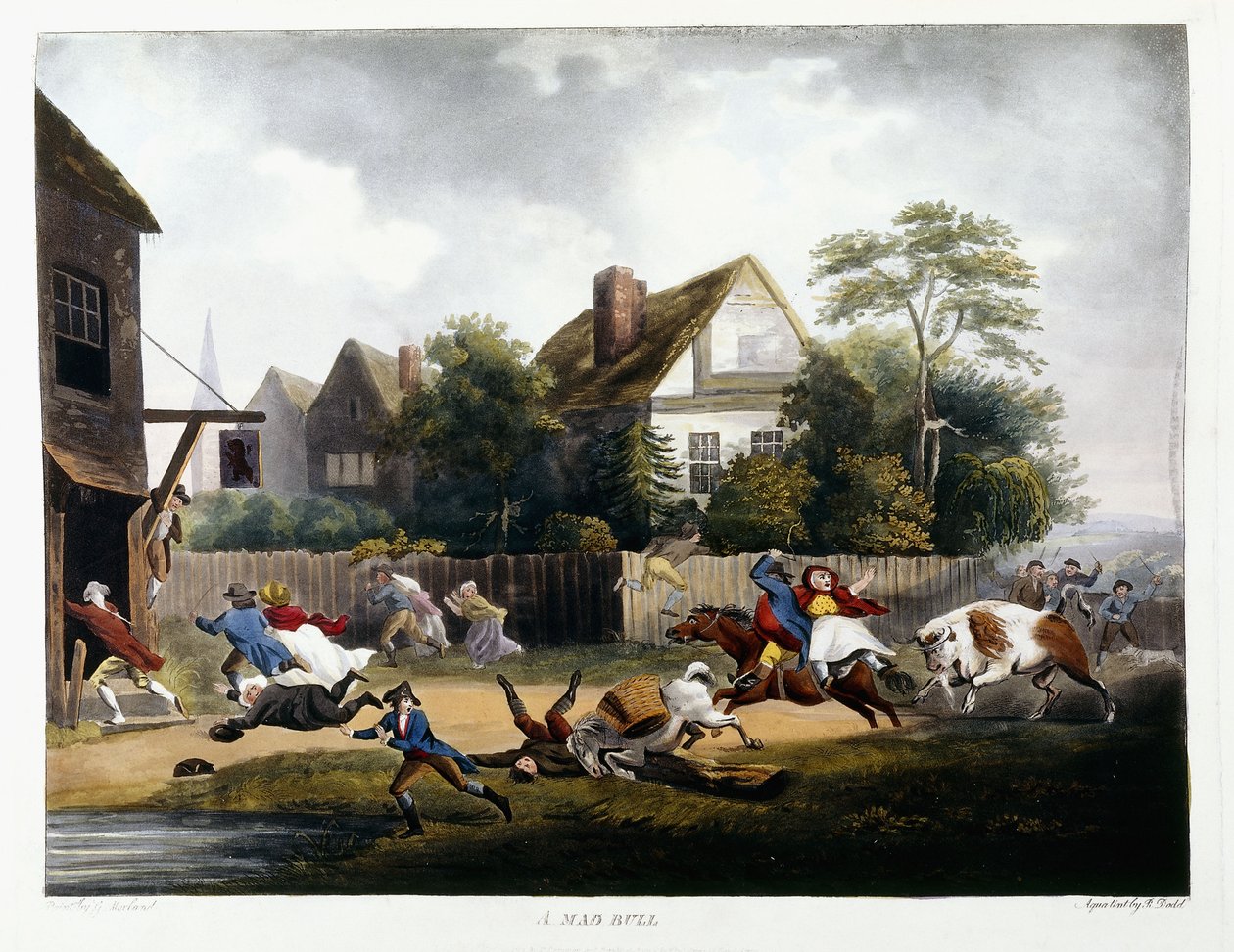 Un Toro Loco, 1806 de Robert Dodd