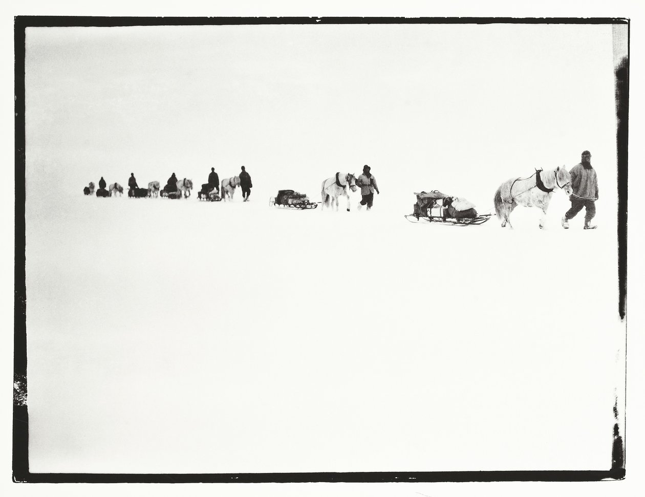 Ponis en marcha, Gran Barrera de Hielo, 2 de diciembre de Robert Falcon Scott