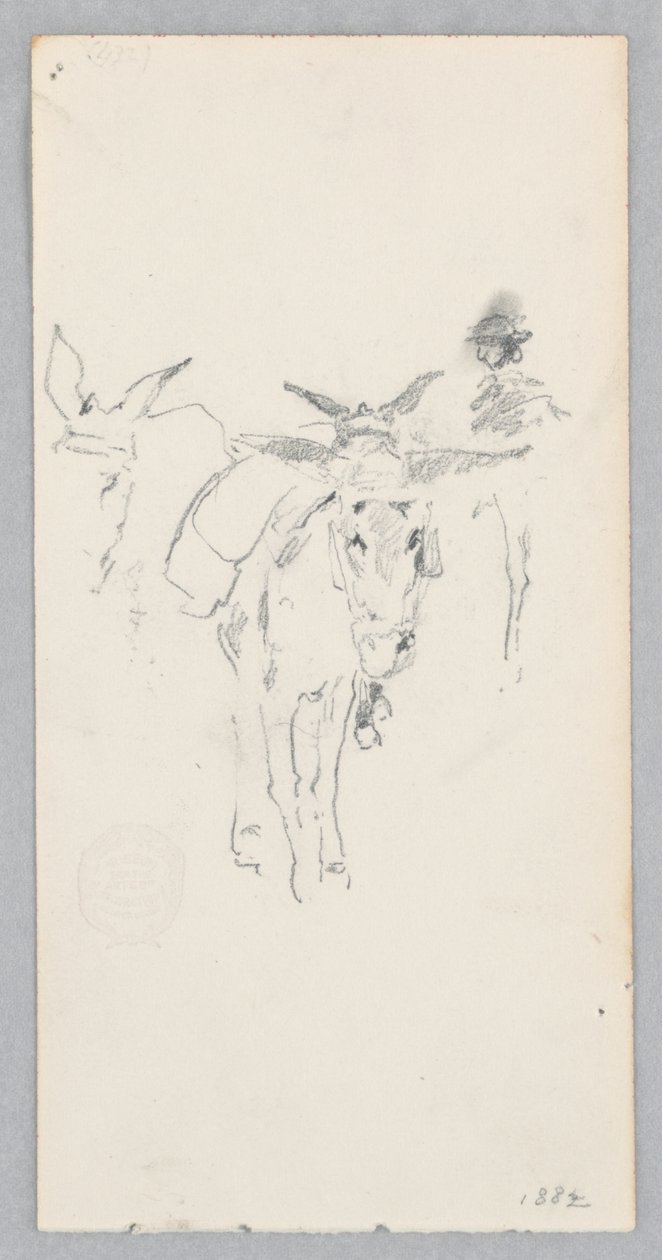 Burros de Robert Frederick Blum