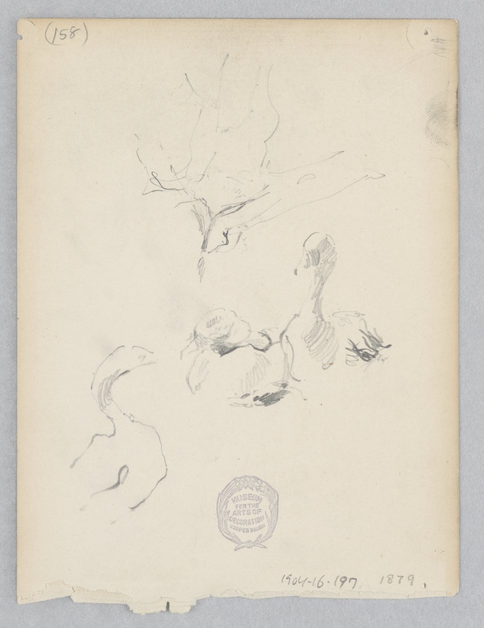 Patos de Robert Frederick Blum