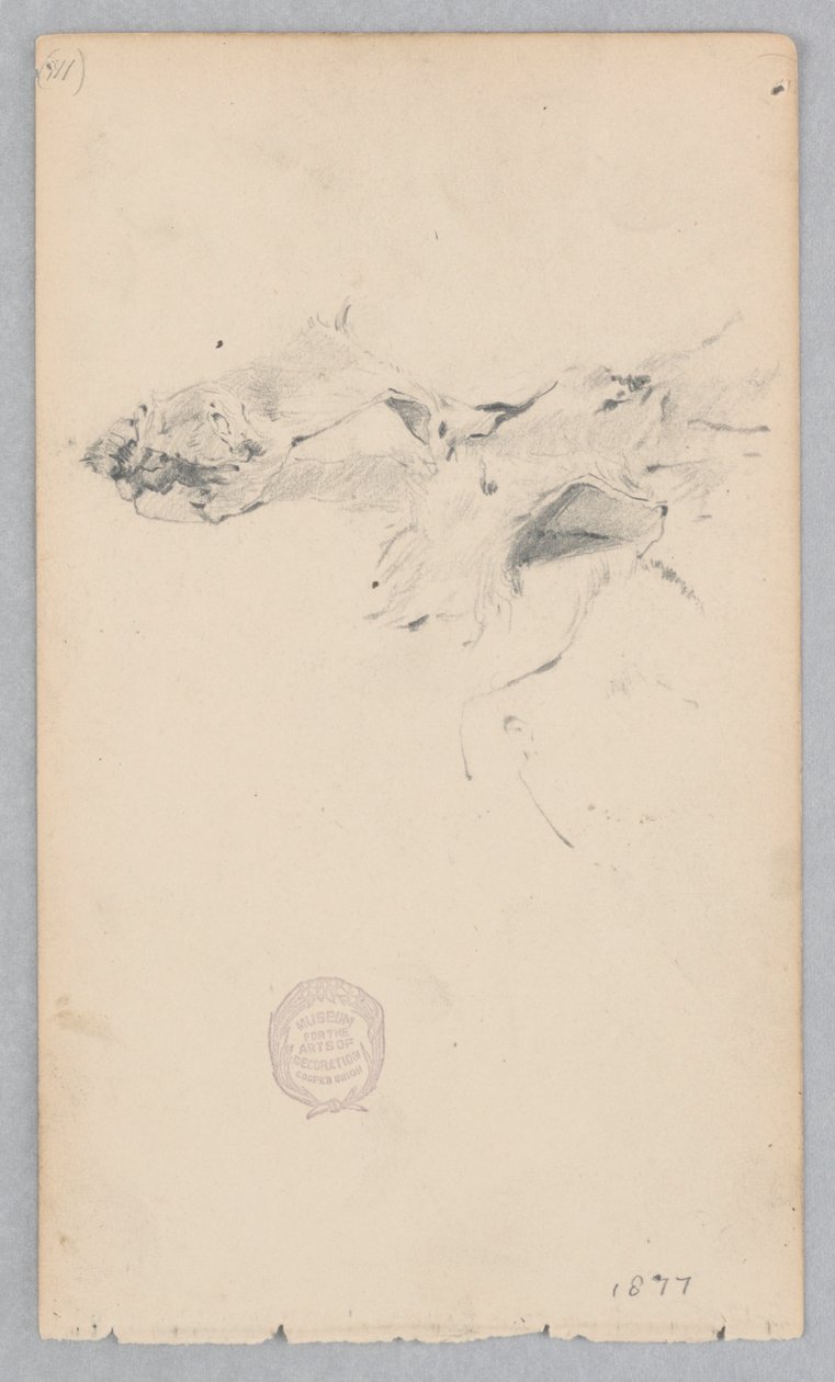 Alfombra de piel de tigre de Robert Frederick Blum