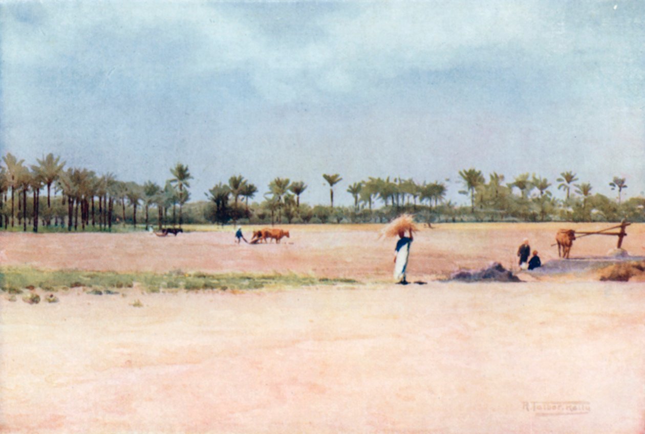  de Robert George Talbot Kelly