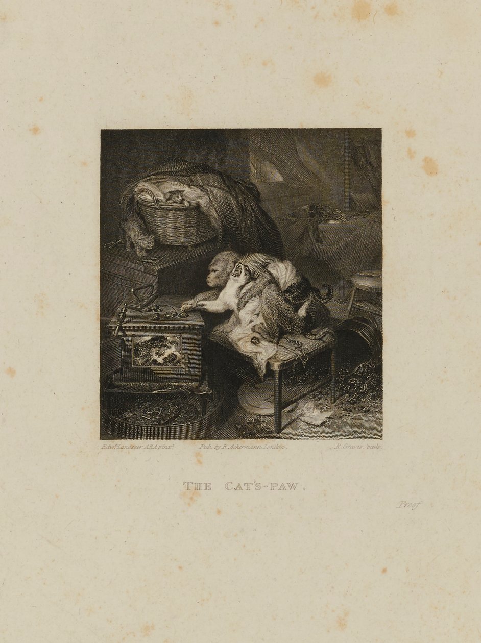 La pata del gato de Robert Graves