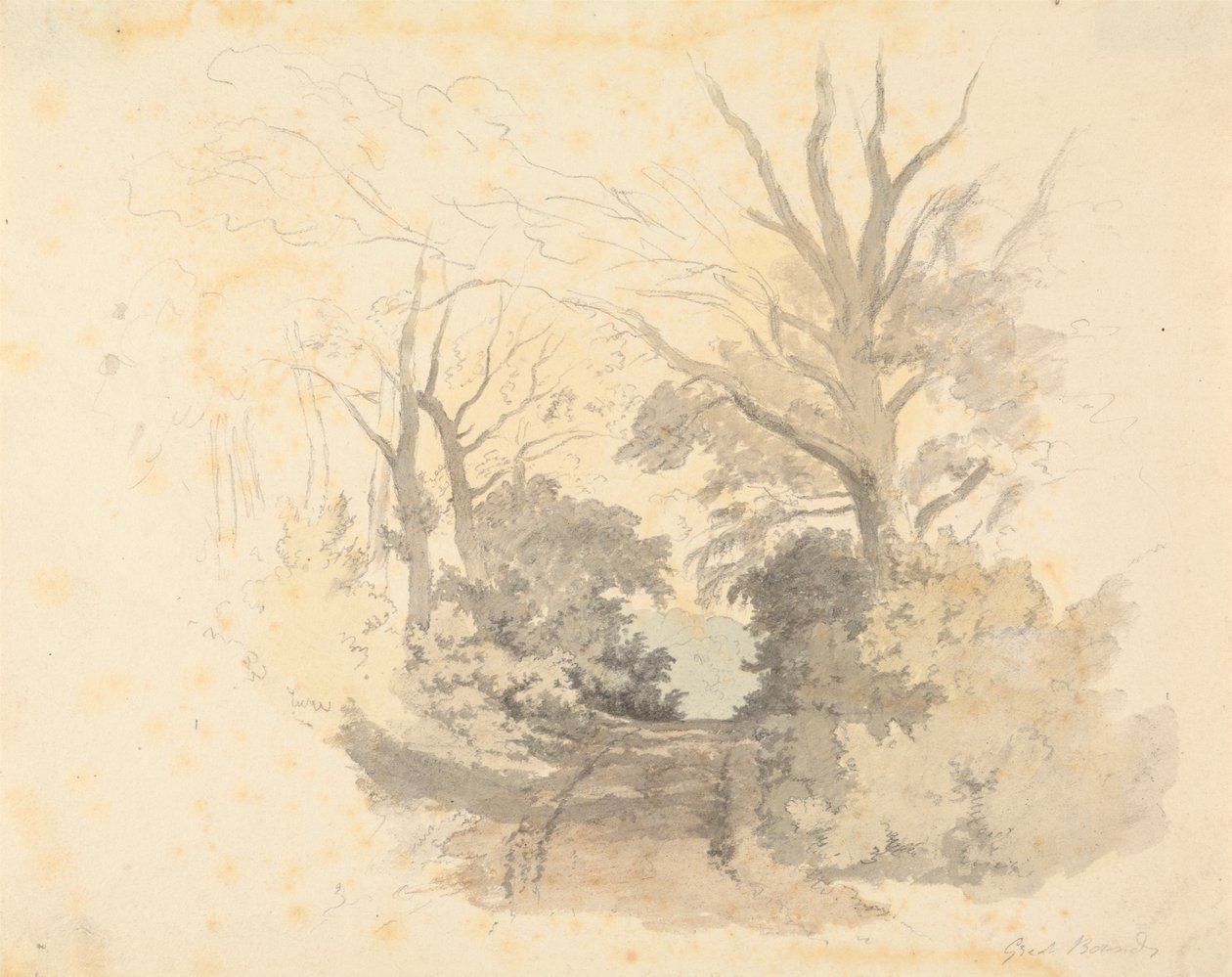 A Lane, Great Borside de Robert Hills