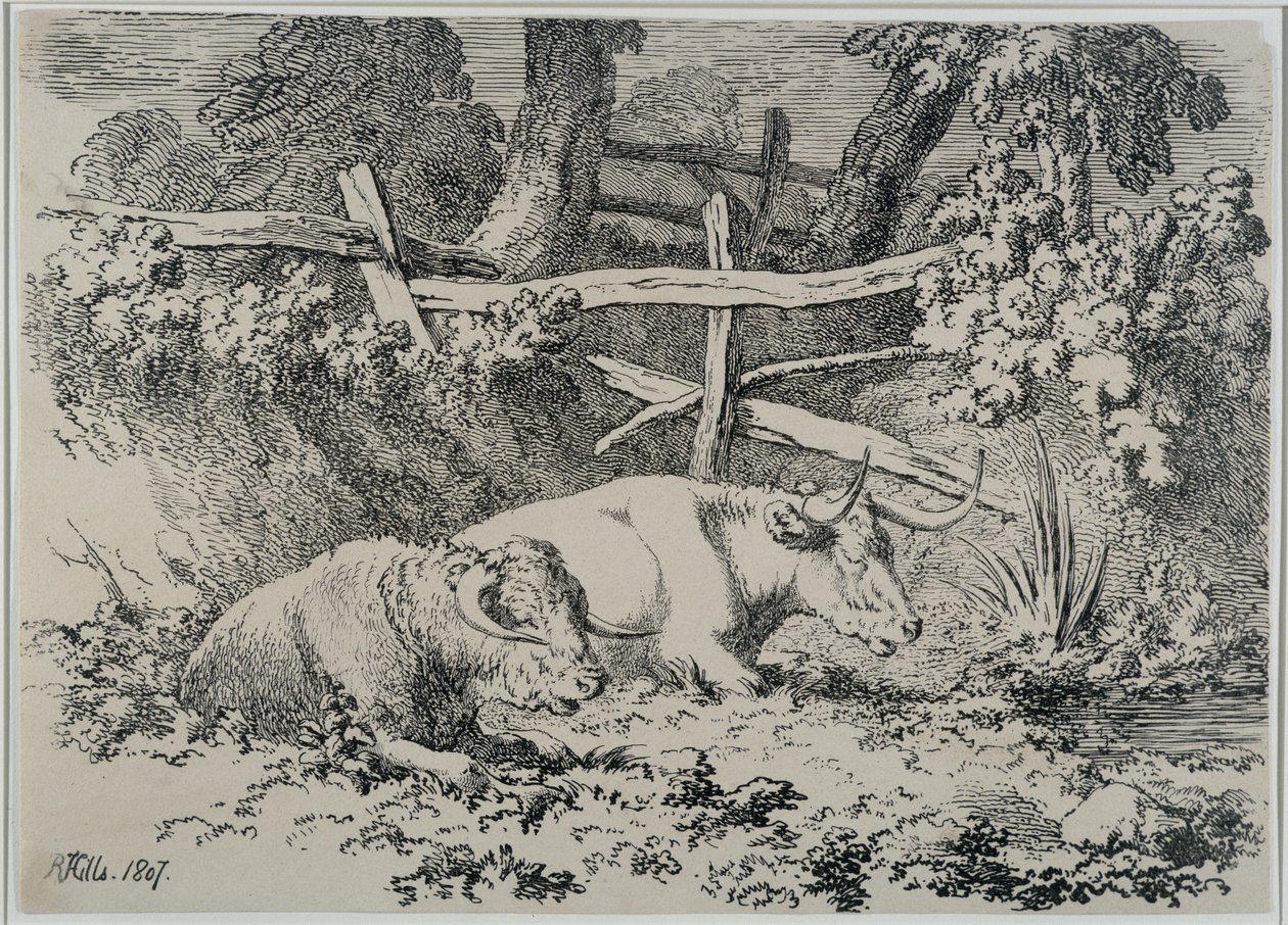 Ganado descansando, 1807 de Robert Hills
