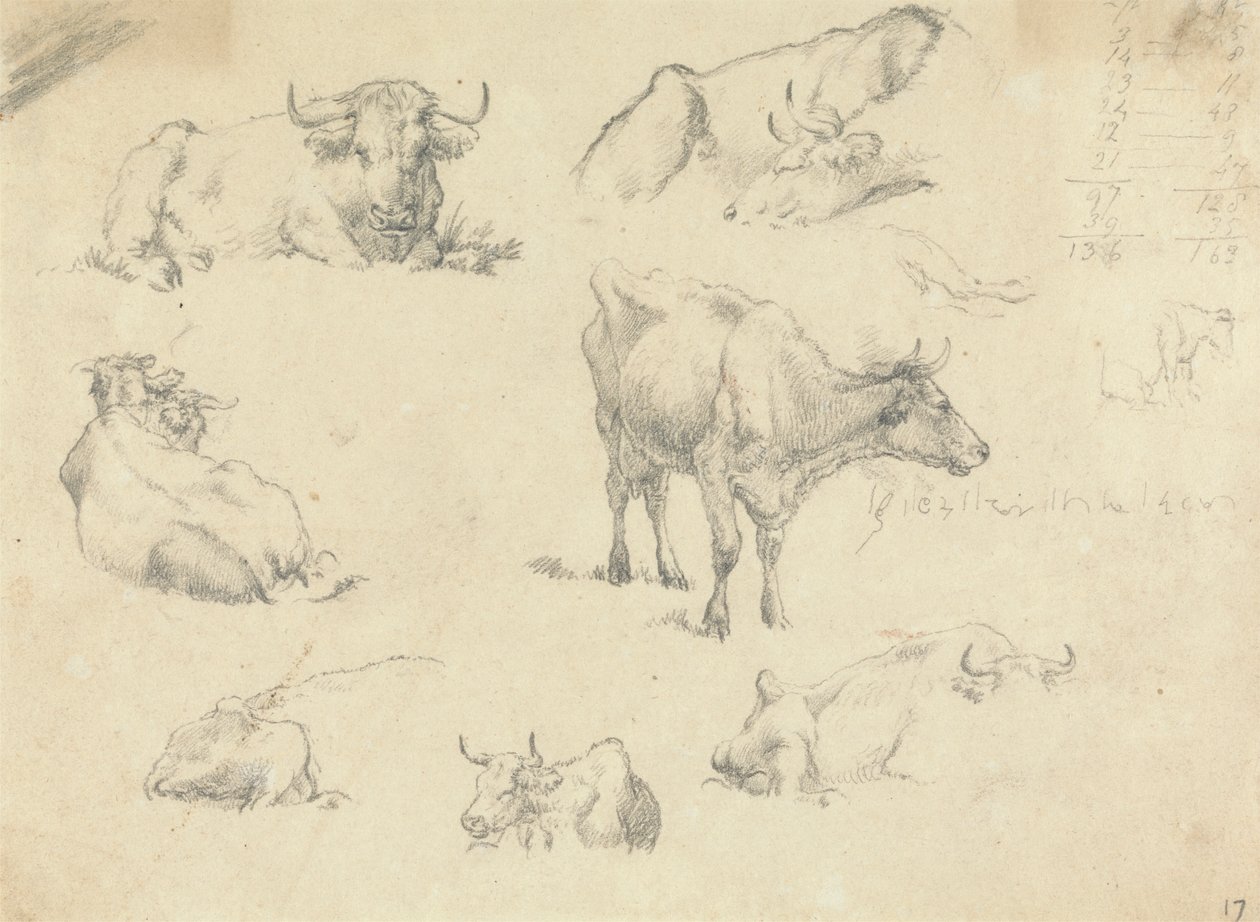 Vacas desde varios ángulos de Robert Hills