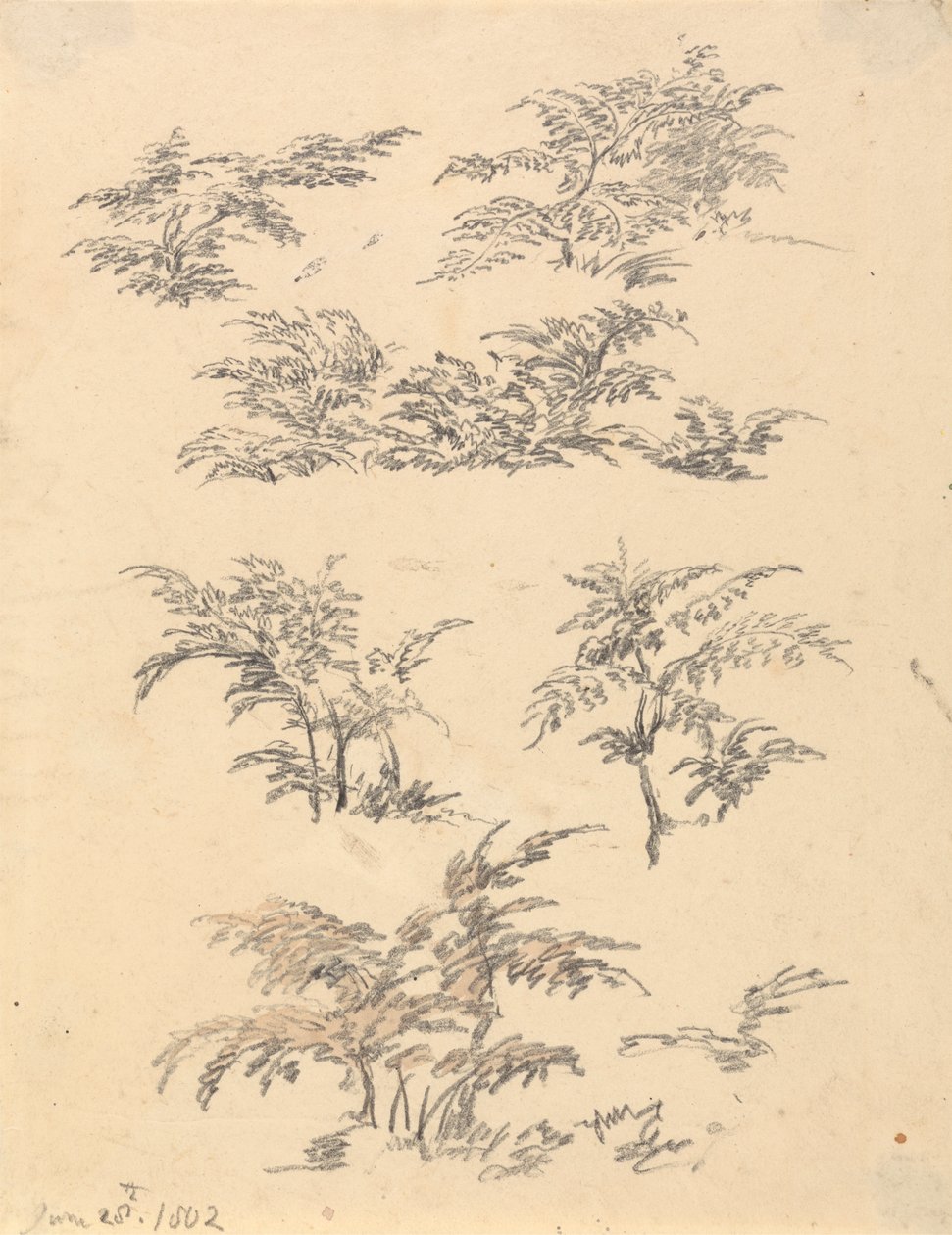 Estudio de Bracken de Robert Hills