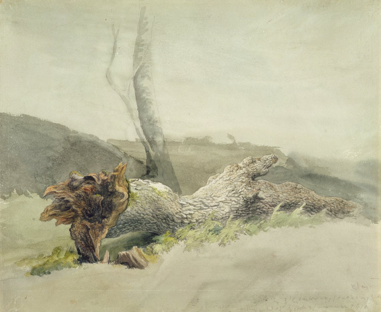 El árbol caído, c.1804 de Robert Hills