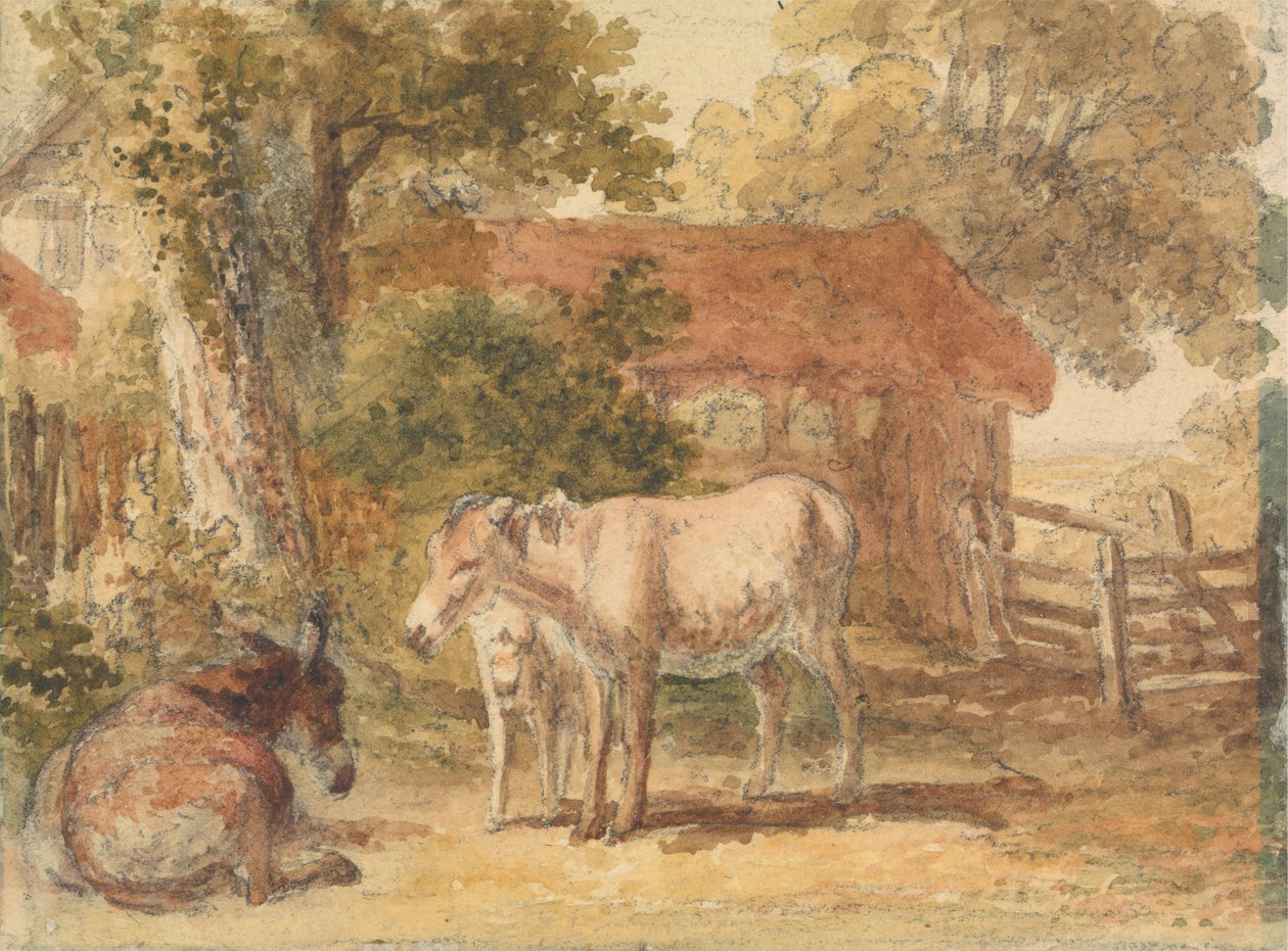 Tres burros de Robert Hills