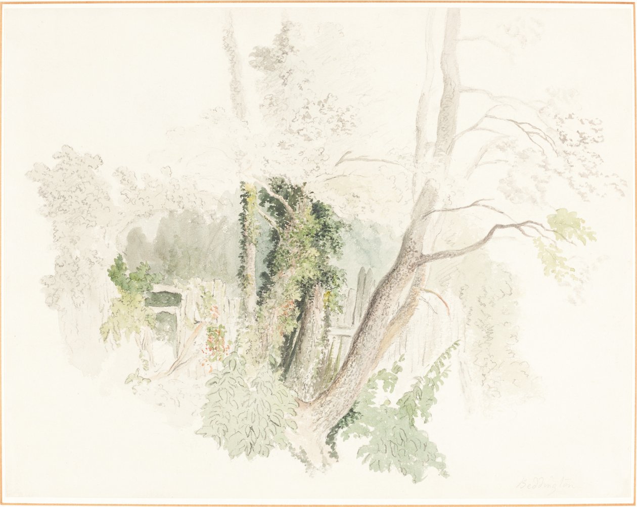 Árboles en Beddington de Robert Hills