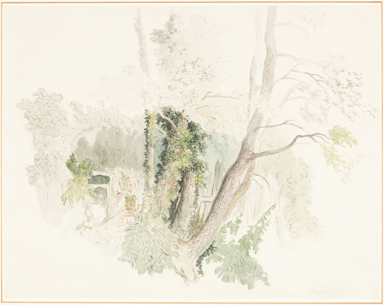 Árboles en Beddington de Robert Hills