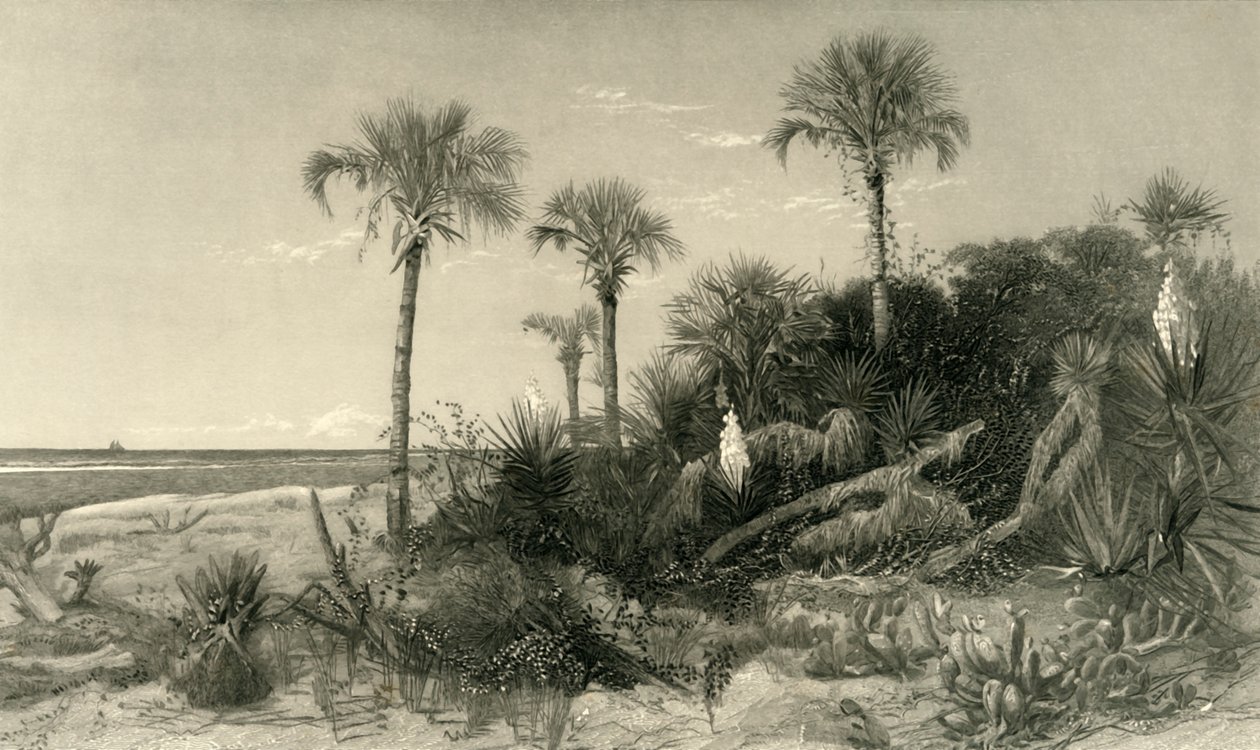 En la Costa de Florida, 1872 de Robert Hinshelwood