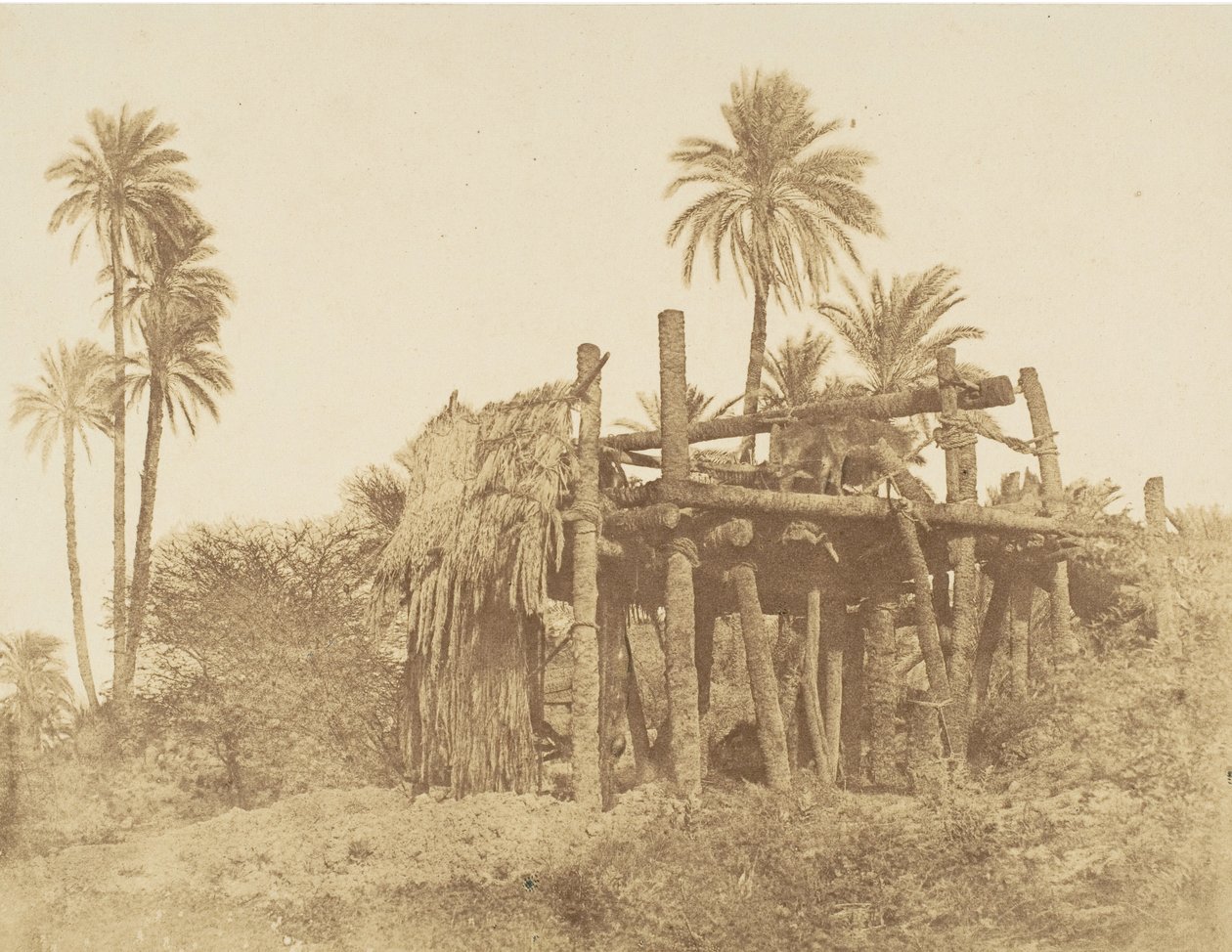 Sakkieh Nubio, o Rueda de Agua, ca. 1856 de Robert Murray.