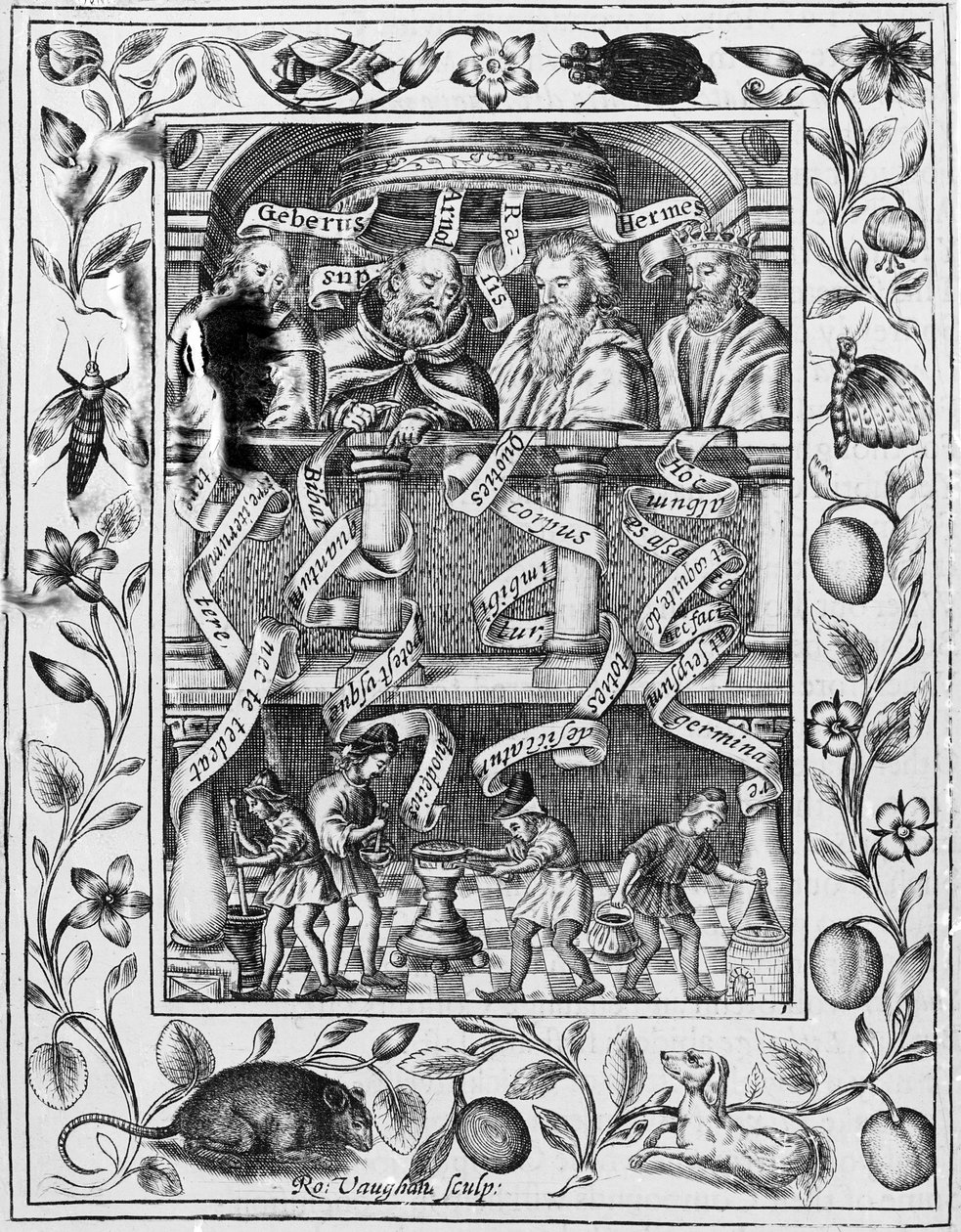 Grandes alquimistas inspiran trabajo en el laboratorio de Theatrum Chemicum Britannicum, 1652 de Robert Vaughan