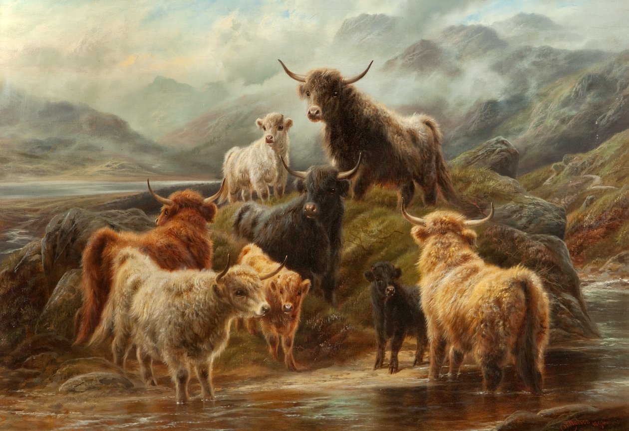 Ganado de las Tierras Altas, 1894 de Robert Watson