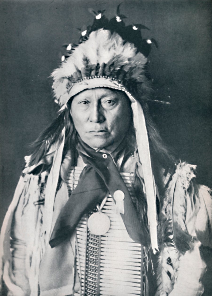 Un jefe sioux en su pintura de guerra, 1912 de Robert Wilson Shufeldt
