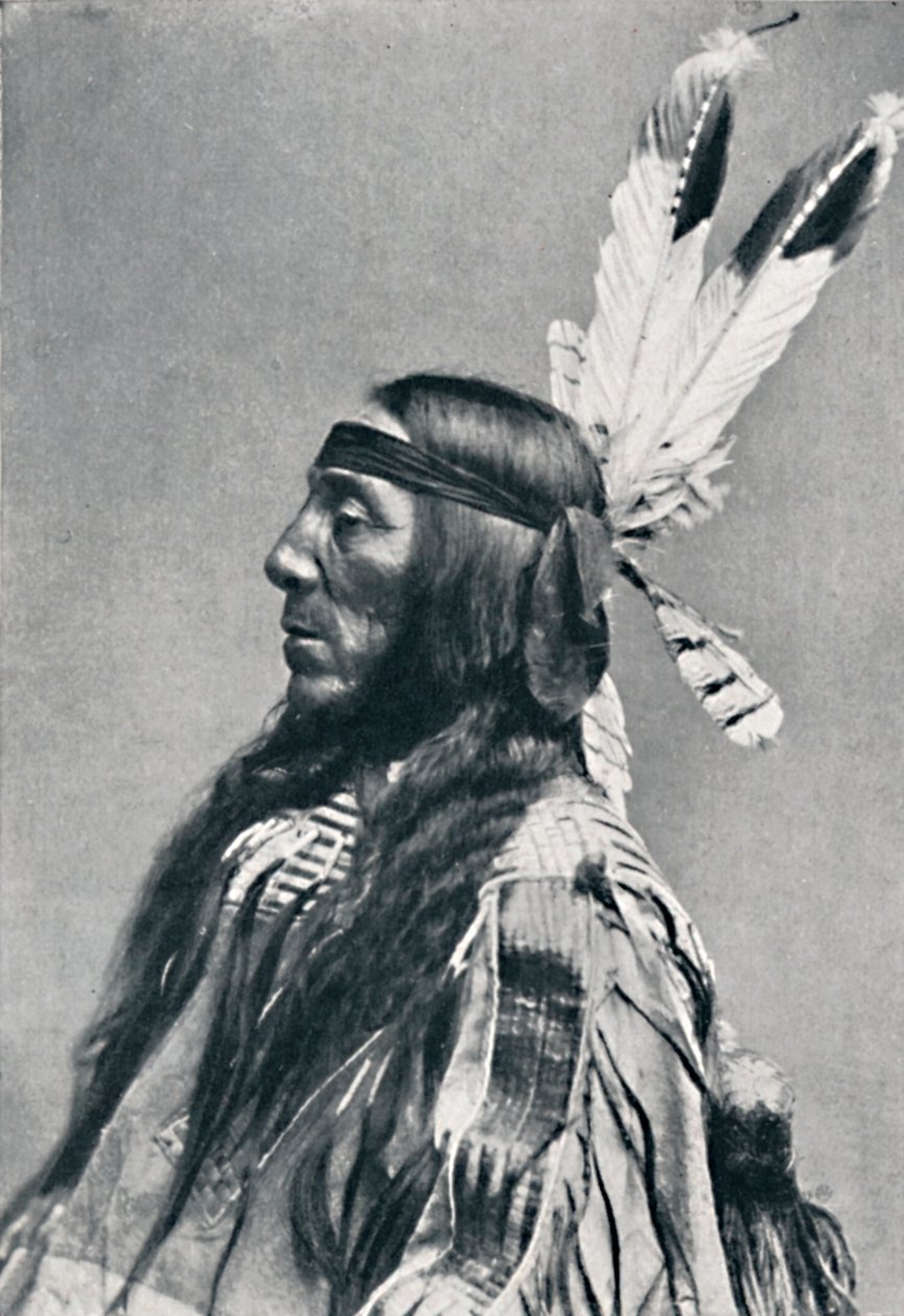 Vista de perfil de un Sioux, 1912 de Robert Wilson Shufeldt