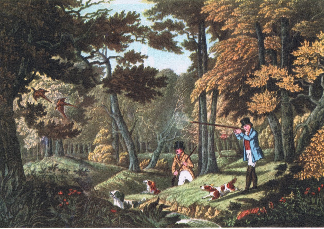 Caza de faisanes cerca de Uxbridge, Nature in Britain publicado por Collins, 1946 de Robert the Elder Havell