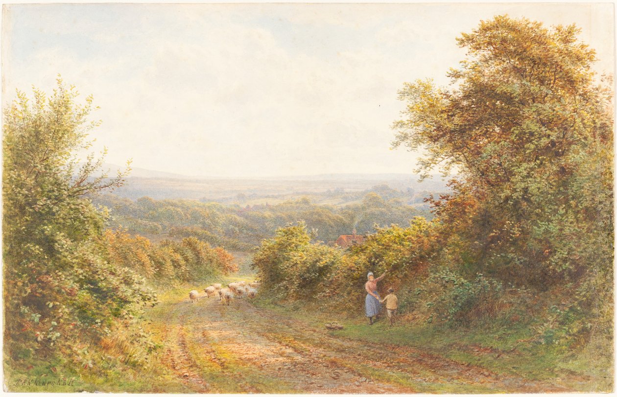 Squirrel Lane, cerca de Magham Down, Sussex de Roberto Angelo Kittermaster Marshall