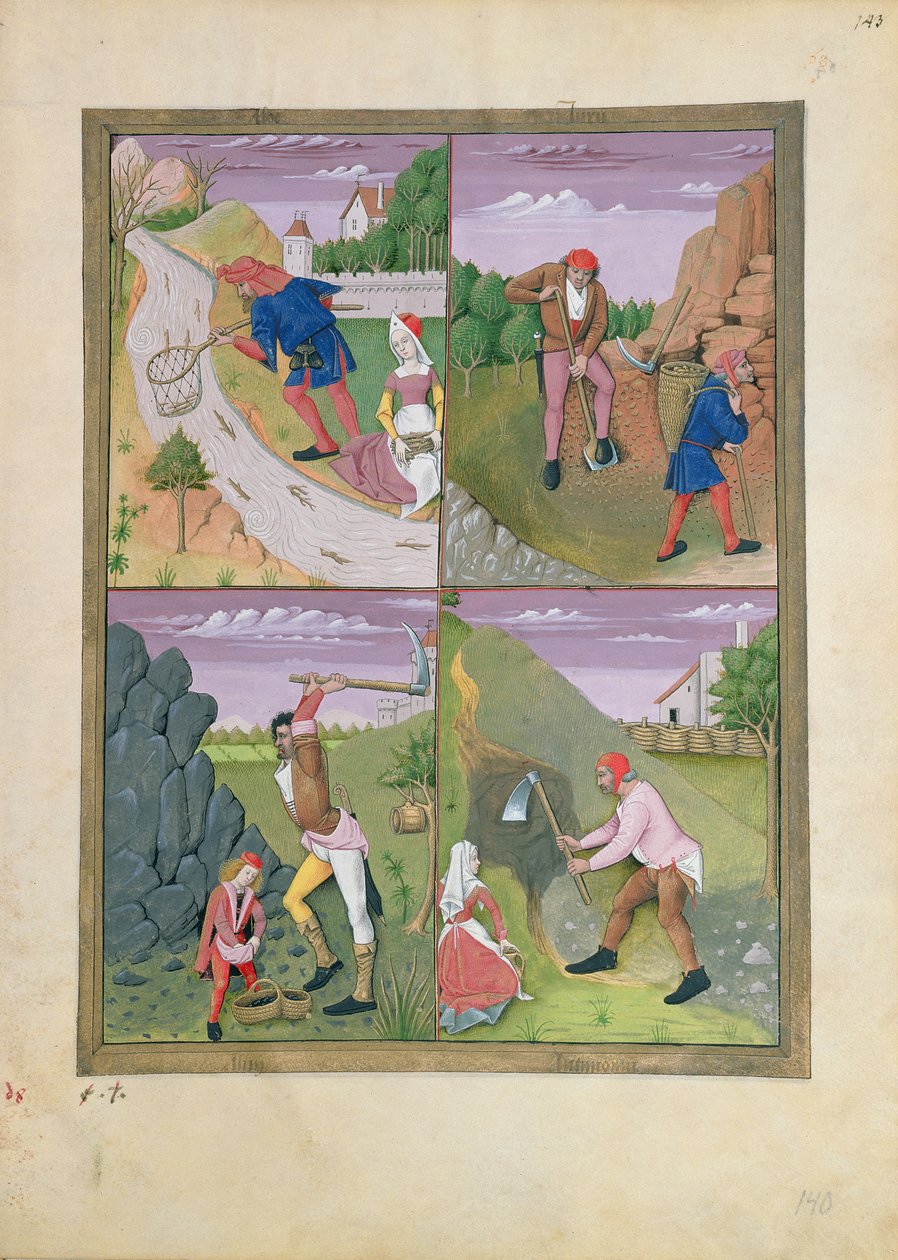 Ilustración del Libro de Medicinas Simples de Mattheaus Platearius 143r de Robinet Testard
