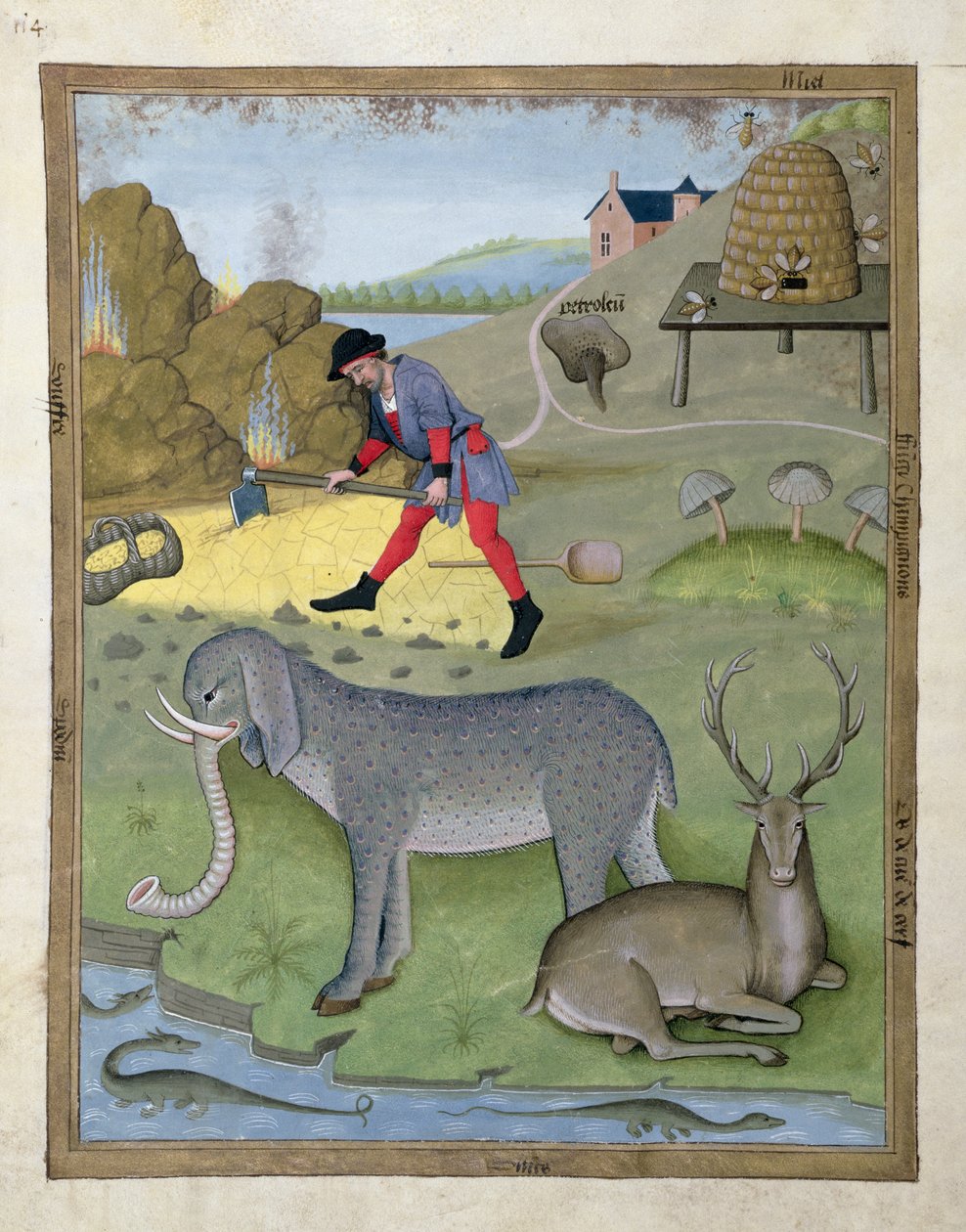Ilustración del Libro de Medicinas Simples de Mattheaus Platearius 168v de Robinet Testard