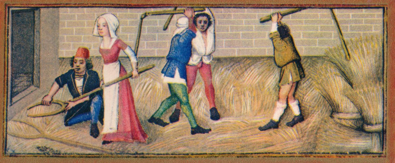Julio - trilla, siglo XV de Robinet Testard